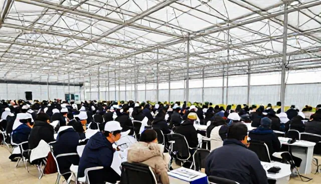 市场分析报告:选型关注点与使用维护建议