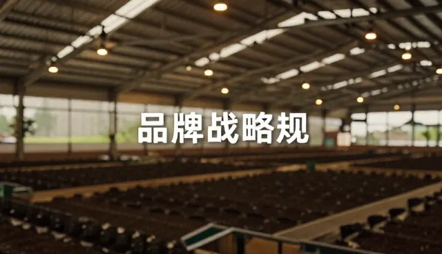 品牌战略规划在不同项目中的性能表现与适用场景