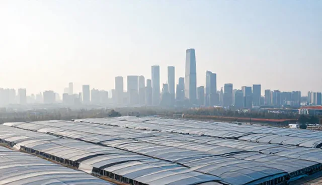 市场调研在活动策划中的适用条件及选择依据
